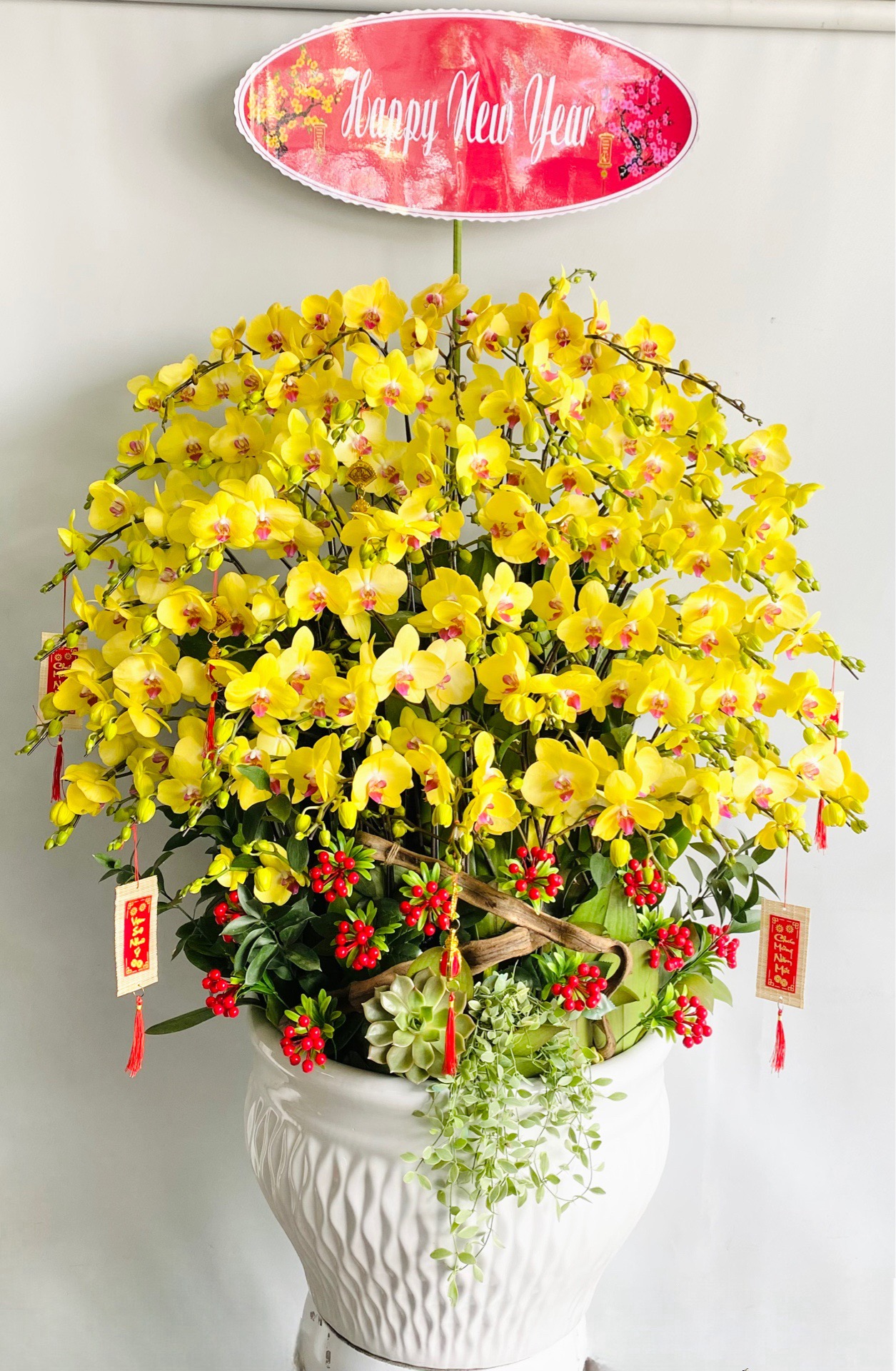 Chậu hoa lan hồ điệp vàng - DS133