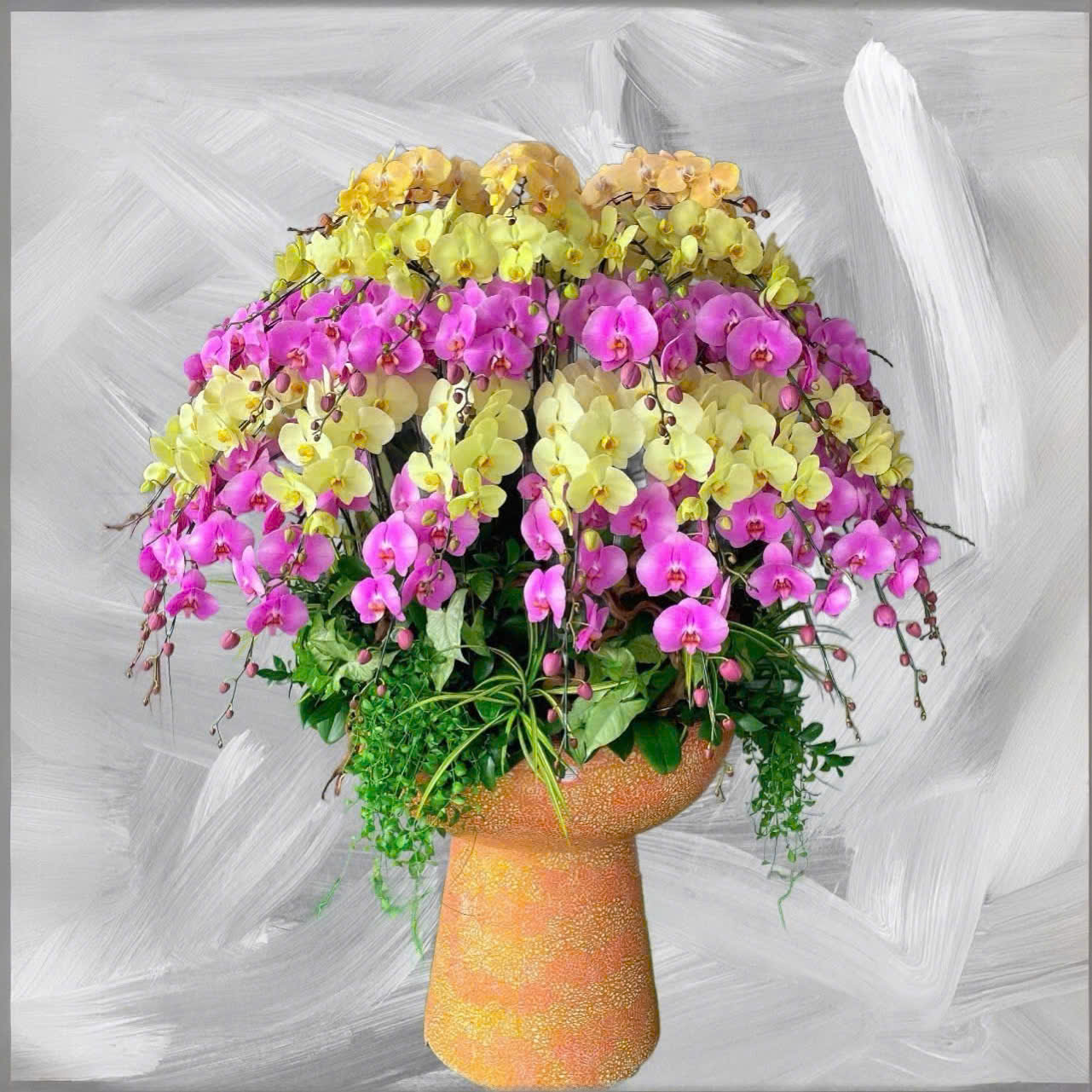  Lan hỗ điệp 79 cành mix màu - DS132